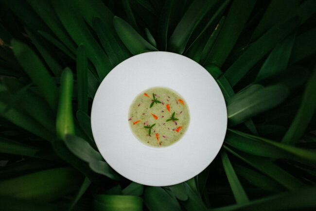 Werbefotograf Kärnten, Werbefotograf Villach, Portraitfotograf, Bewerbungsfotos Villach, Fotostudio Kärnten, Fotograf Kärnten, Hochzeitsfotos, Baby und Familienfotos, Newborn Fotografie, Neugeborenen Fotos, Hochzeit,